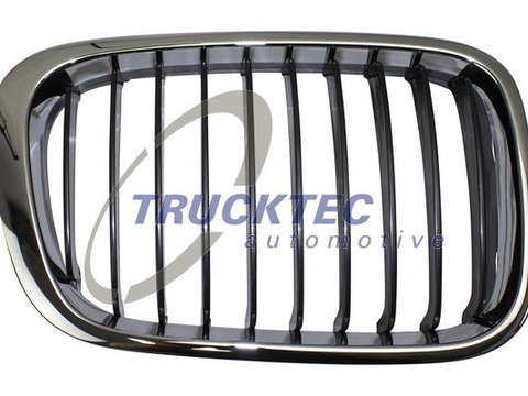 Grila radiator dreapta (0862258 TRUCKTEC) BMW