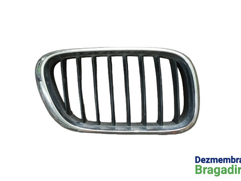 Grila radiator dreapta 8247674 51.13-8247674 BMW X5 E53 [1999 - 2003] Crossover 3.0 d AT (184 hp)