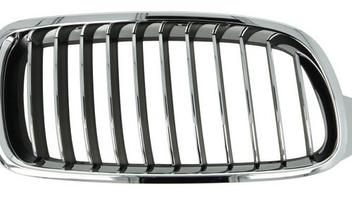 Grila Radiator Dreapta BLIC Bmw Seria 3 F30 2011-2015 Luxury 6502-07-0063998P