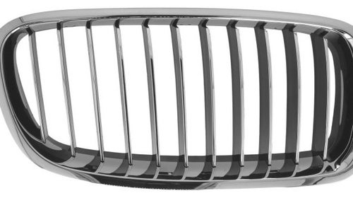 Grila Radiator Dreapta BLIC Bmw Seria 3 F30 2011-2015 Luxury 6502-07-0063998Q