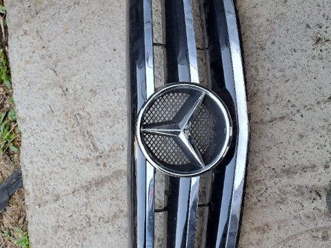 Grila radiator fata mercedes b class 2005