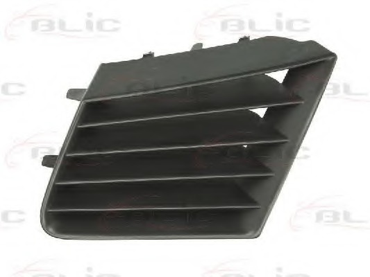 Grila radiator ~ fata stanga Seat Cordoba 2002 2003 2004 2005 2006 ~ 6502-07-6609991P ~ BLIC