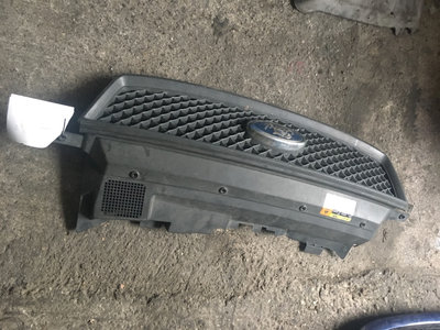 Grila radiator Ford C-Max [2003 - 2007] Minivan