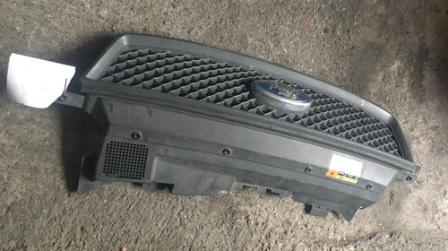 Grila radiator Ford C-Max [2003 - 2007] 