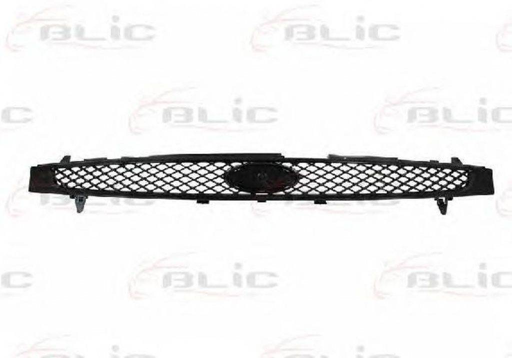 Grila radiator FORD FIESTA V Van BLIC 650207256499