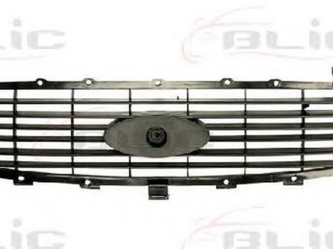 Grila radiator FORD TRANSIT bus E BLIC 6502072515993P