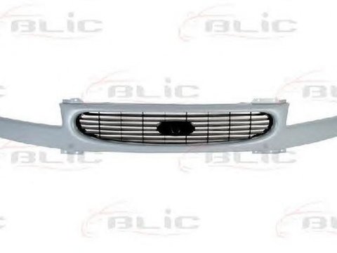 Grila radiator FORD TRANSIT caroserie E BLIC 6502072515994P