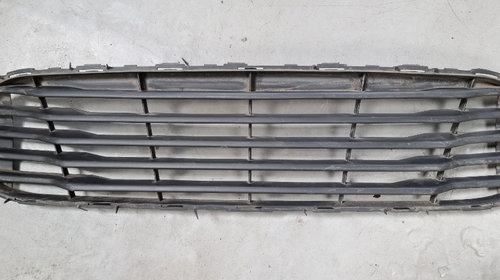 Grila radiator Ford Transit Courier Face