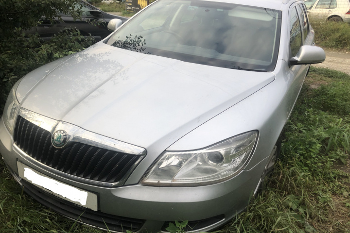 Grila radiator, grila fata cu emblema cu emblema Skoda Octavia 2 [facelift] [2008 - 2013] Combi wagon 5-usi 1.9 TDI MT (105 hp)