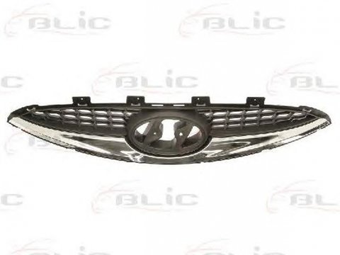 Grila radiator HYUNDAI ix20 JC BLIC 6502073129990P