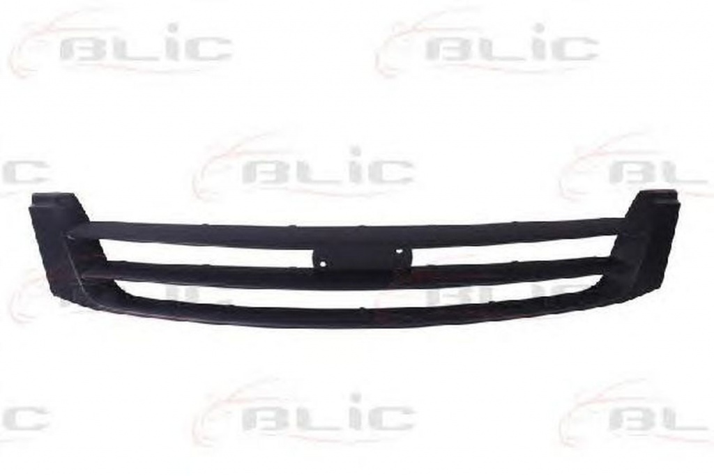 Grila radiator IVECO DAILY IV bus BLIC 6502073081991P