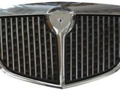 Grila radiator Lancia Ypsilon (843), 01.2004-06.2011,MUSA (350), 06.04-01.07 , 735384149, 421705