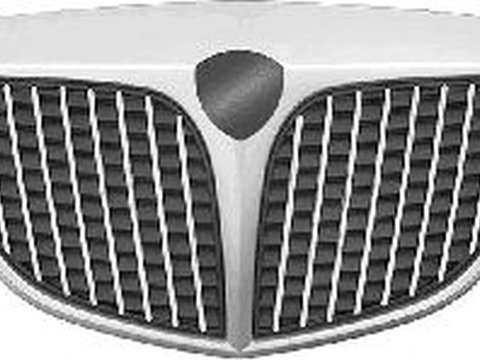 Grila radiator LANCIA YPSILON 843 VAN WEZEL 1776510