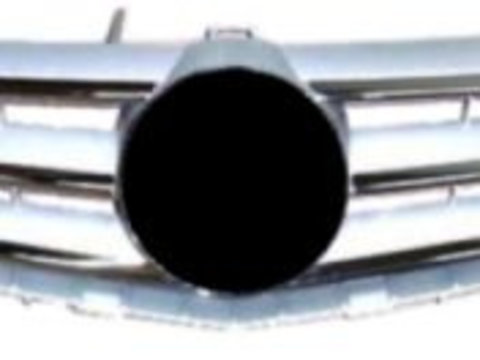 Grila radiator Mercedes Clasa A (W169), 09.2004-05.2008, crom/argintiu, 16988009839744, 500605-1