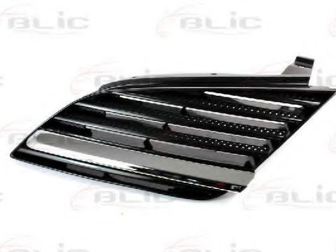 Grila radiator NISSAN PRIMERA Traveller (WP12) (2002 - 2016) BLIC 6502-07-1670991P