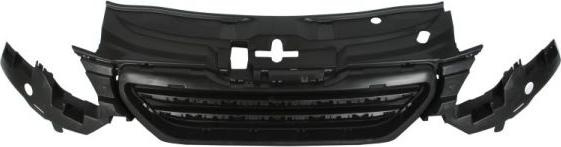 Grila radiator PEUGEOT 2008 BLIC 6502-07-5516990P