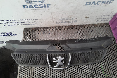 Grila radiator Peugeot 406 [facelift] [1999 - 2004