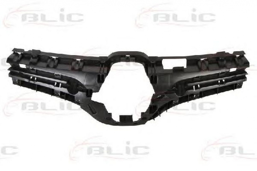Grila radiator RENAULT KANGOO Express FW0 1 BLIC 6502076011993P