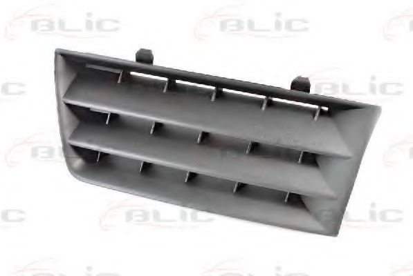 Grila radiator RENAULT MEGANE II limuzina (LM0/1_) (2003 - 2016) BLIC 6502-07-6041991P