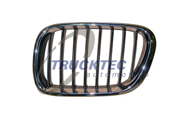 Grila radiator stanga (0862225 TRUCKTEC) BMW