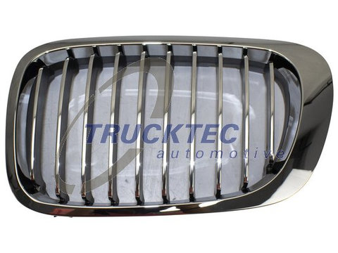 Grila radiator stanga (0862296 TRUCKTEC) BMW