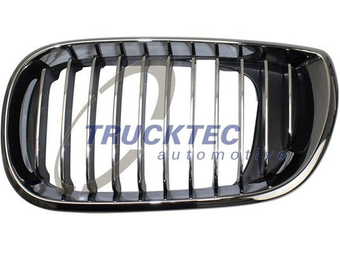 Grila radiator stanga (0862298 TRUCKTEC) BMW