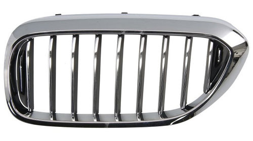 Grila Radiator Stanga BLIC Bmw Seria 5 G31 2017? Luxury 6502-07-0068993P
