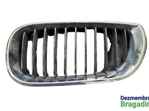 Grila radiator stanga BMW Seria 3 E46 [facelift] [2001 - 2006] Sedan E46 FACELIFT