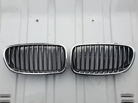 Grila radiator stanga / dreapta BMW seria 5 an 2012 F10 cod 51.13 7 200 727