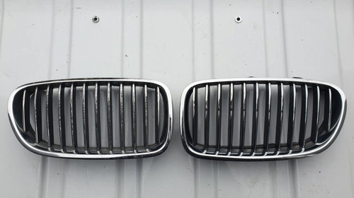 Grila radiator stanga / dreapta BMW seri