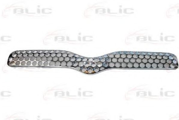 Grila radiator TOYOTA YARIS/VITZ (SCP1_, NLP1_, NCP1_) (1999 - 2005) BLIC 6502-07-8109991P