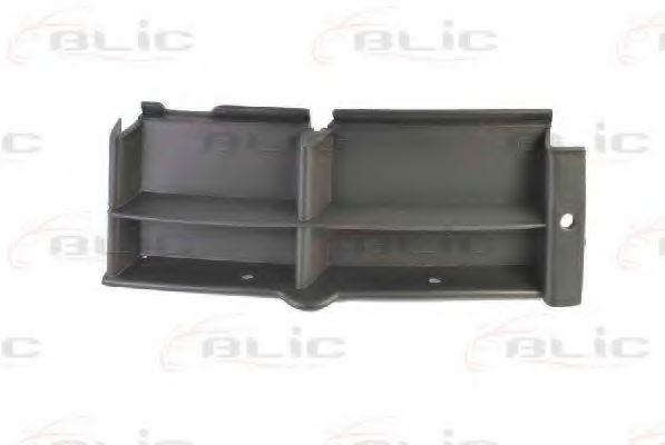 Grila ventilatie, bara protectie BMW Seria 5 Touri