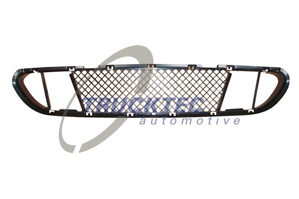 Grila ventilatie, BARA protectie fata (0862706 TRUCKTEC) BMW
