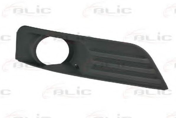 Grila ventilatie, bara protectie FORD FOCUS II Limuzina (DA) (2005 - 2016) BLIC 6502-07-2533995P piesa NOUA