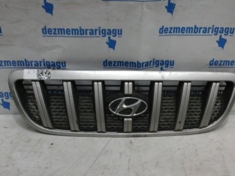 Grile capota Hyundai Terracan