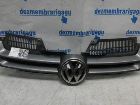 Grile capota Volkswagen Golf V (2003-)