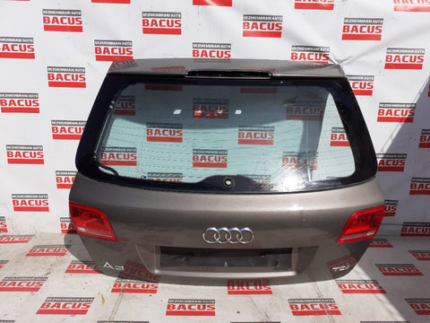 Haion Audi A3 8P Facelift