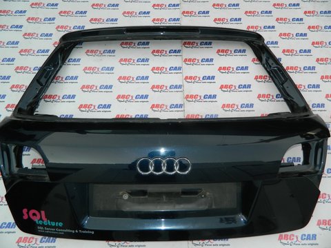 Haion Audi A4 B7 8E Avant 2005 - 2008