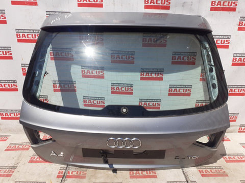 Haion Audi A4 B8 Combi