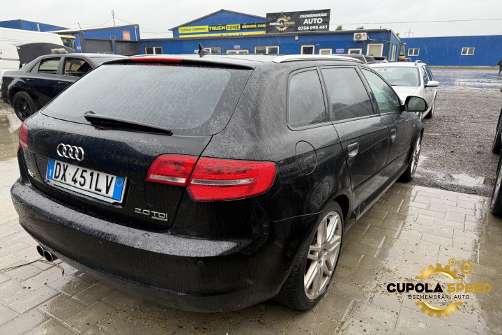 Haion cu luneta Culoare LY9B Audi A3 8P/