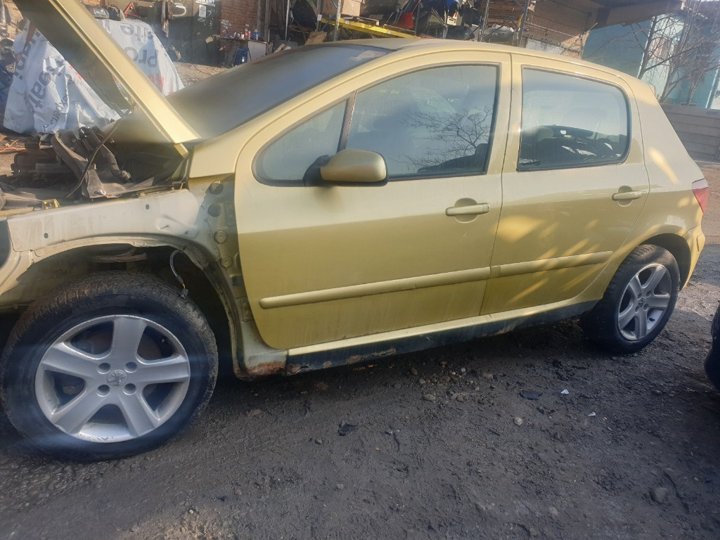 Haion cu luneta geam Peugeot 307 HATCHBACK