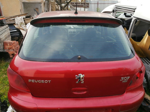 Haion cu luneta, Peugeot 307 break. 2003