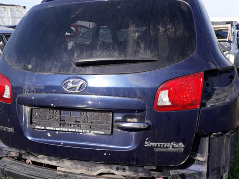 Haion Dezechipat Hyundai Santa Fe 2009