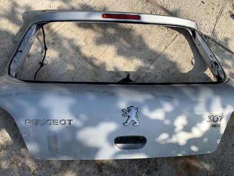 Haion fara luneta Peugeot 307 2004 1.6 hdi