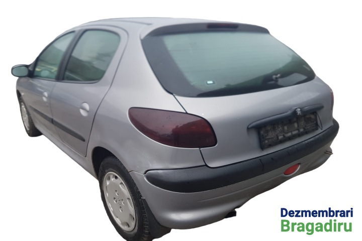 Haion / Haion cu luneta Peugeot 206 [199