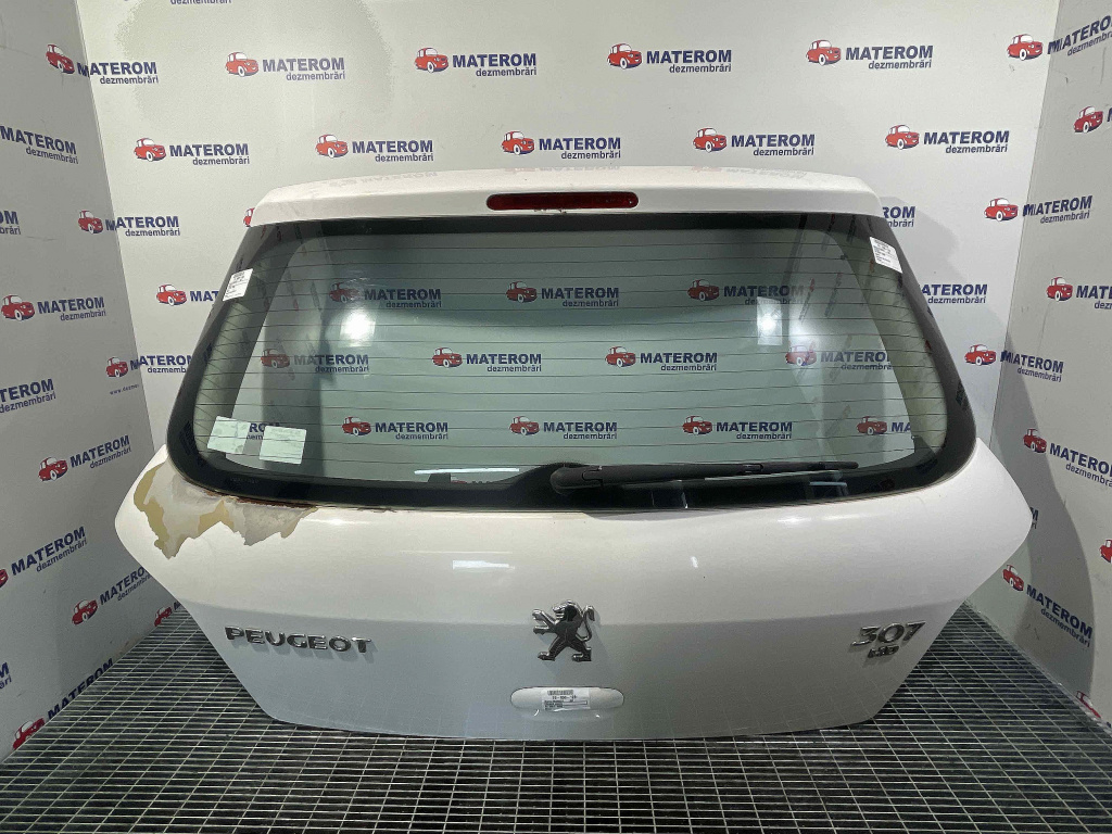 HAION PEUGEOT 307 307 - - (2001 2005)