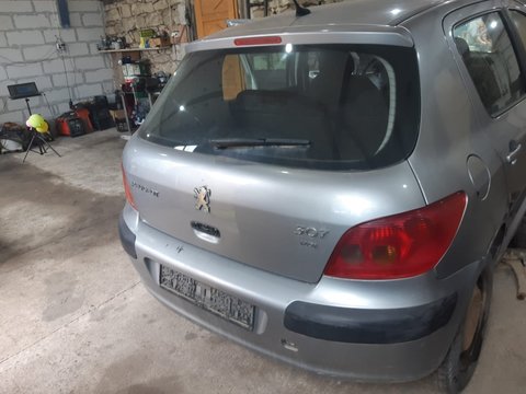 Haion spate complet Peugeot 307