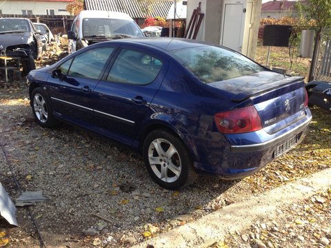 Haion Peugeot 407