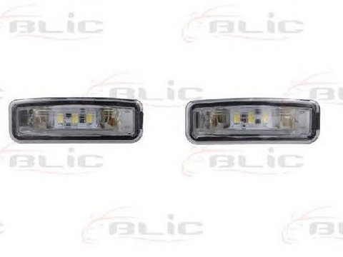 Iluminare numar inmatriculare FORD FOCUS limuzina DFW BLIC 540201733900 PieseDeTop