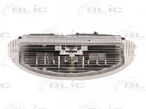 Iluminare numar inmatriculare RENAULT TWINGO I C06 BLIC 540204231900